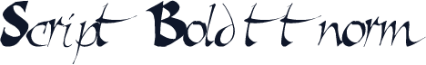Script Bold ttnorm