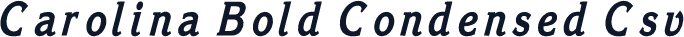 Carolina Bold Condensed Csv