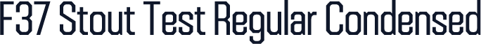 F37 Stout Test Regular Condensed