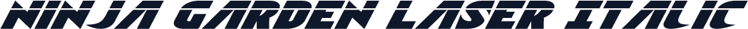 Ninja Garden Laser Italic