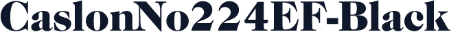 CaslonNo224EF-Black