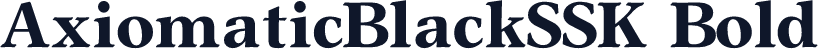 AxiomaticBlackSSK Bold