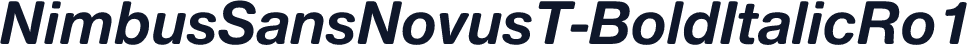 NimbusSansNovusT-BoldItalicRo1