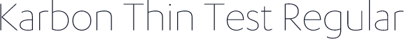 Karbon Thin Test Regular