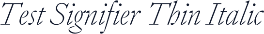 Test Signifier Thin Italic