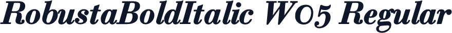 RobustaBoldItalic W05 Regular