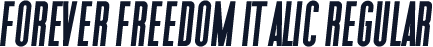 Forever Freedom Italic Regular