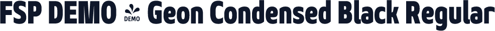 FSP DEMO - Geon Condensed Black Regular