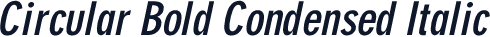 Circular Bold Condensed Italic