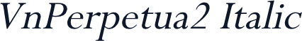 VnPerpetua2 Italic