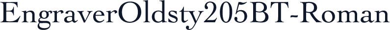 EngraverOldsty205BT-Roman
