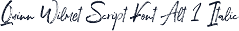 Quinn Wilmet Script Font Alt 1 Italic