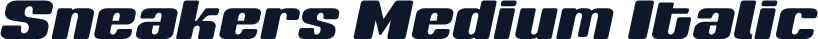 Sneakers Medium Italic