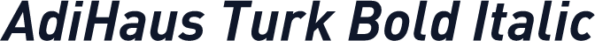 AdiHaus Turk Bold Italic