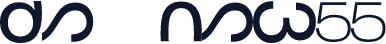 ds nsw55