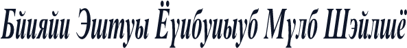 Danzan Times Condensed Bold Italic