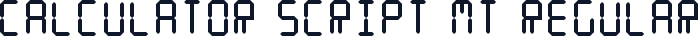Calculator Script MT Regular