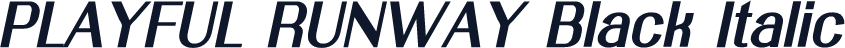 PLAYFUL RUNWAY Black Italic