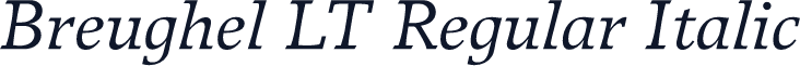 Breughel LT Regular Italic