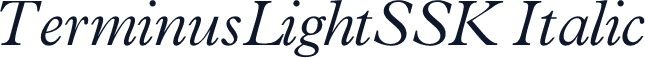TerminusLightSSK Italic