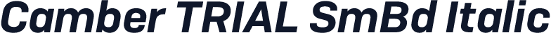 Camber TRIAL SmBd Italic