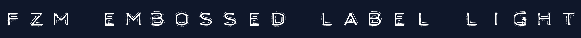 fzm Embossed Label Light