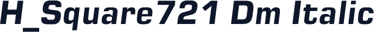 H_Square721 Dm Italic