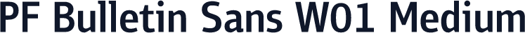 PF Bulletin Sans W01 Medium