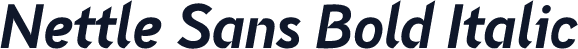 Nettle Sans Bold Italic