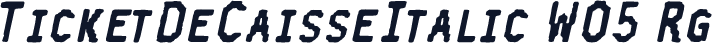 TicketDeCaisseItalic W05 Rg