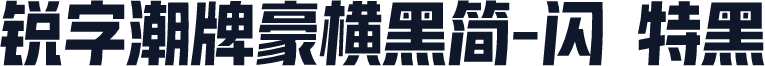 锐字潮牌豪横黑简-闪 特黑