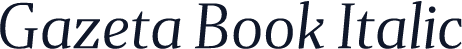 Gazeta Book Italic