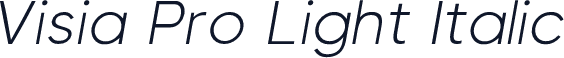 Visia Pro Light Italic
