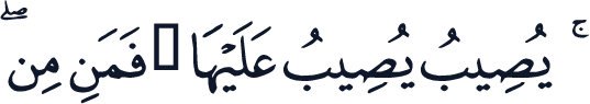QCF_P221