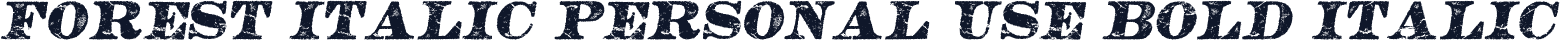 FOREST ITALIC PERSONAL USE Bold Italic