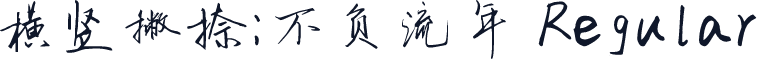横竖撇捺：不负流年 Regular