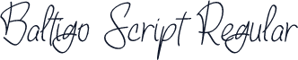 Baltigo Script Regular