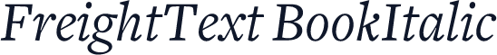 FreightText BookItalic