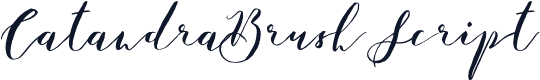 CatandraBrushScript