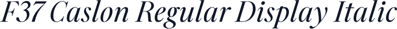 F37 Caslon Regular Display Italic