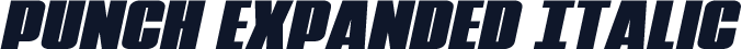 Punch Expanded Italic