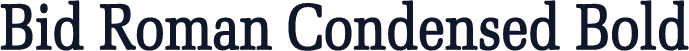 Bid Roman Condensed Bold