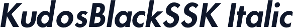 KudosBlackSSK Italic