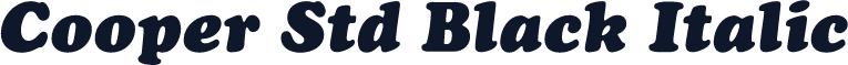 Cooper Std Black Italic