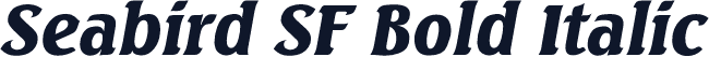 Seabird SF Bold Italic