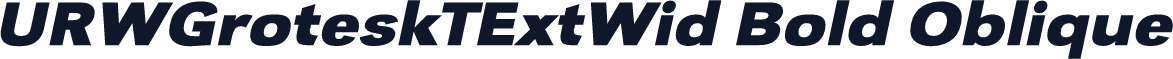 URWGroteskTExtWid Bold Oblique
