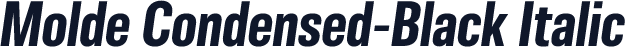 Molde Condensed-Black Italic