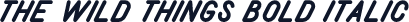 The Wild Things Bold Italic