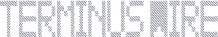 Terminus Wire