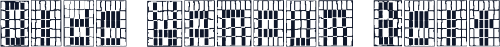Olde Wampum Belt